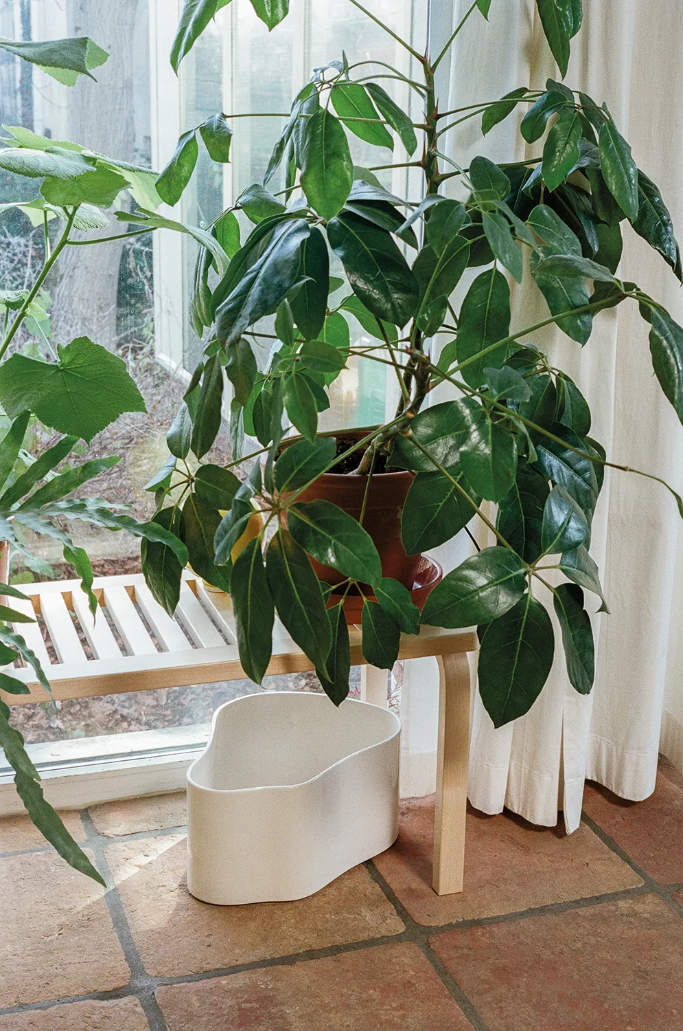 Riihitie blomkruka B Medium