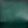 Shaded Saddle Leather Green