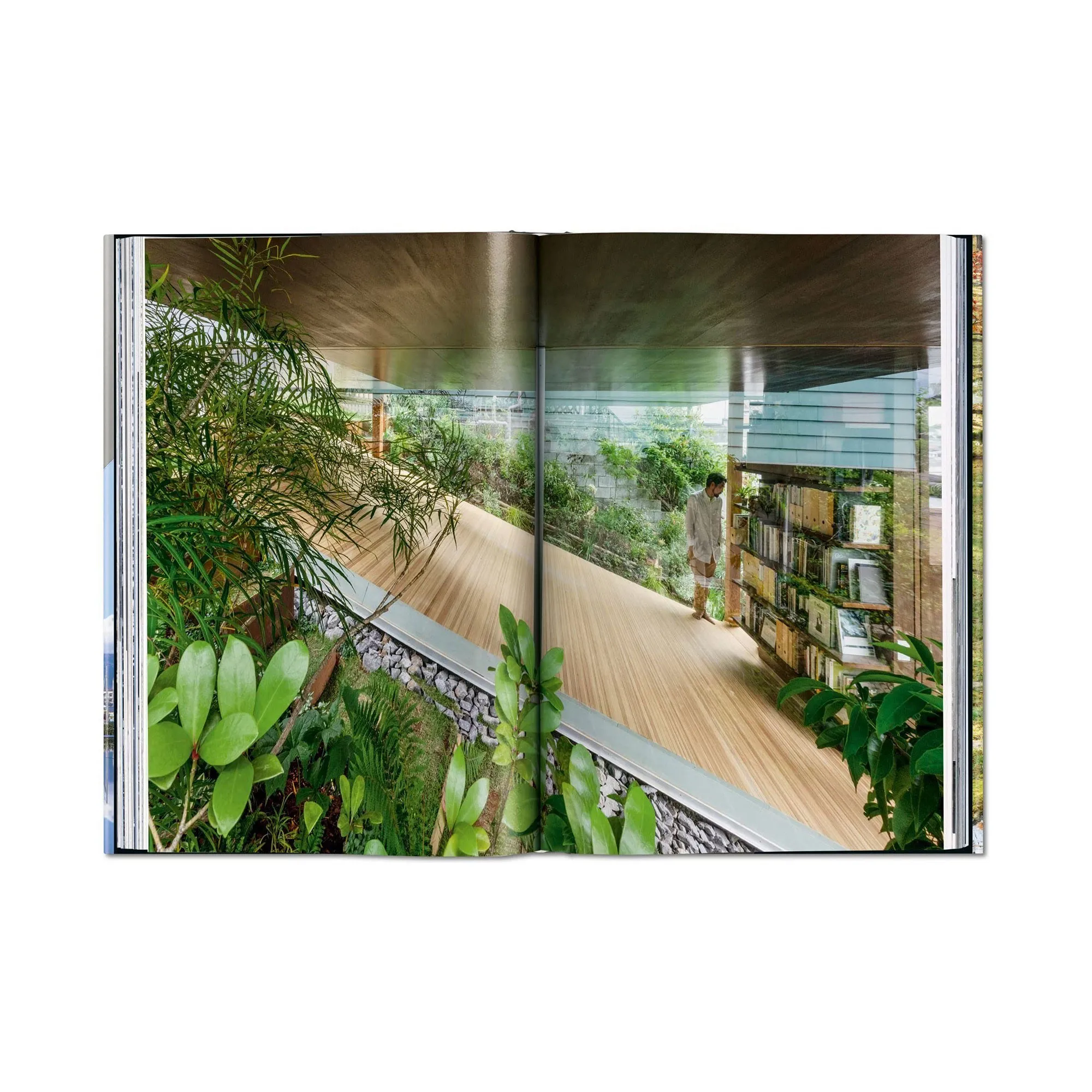 Contemporary Japanese Architecture