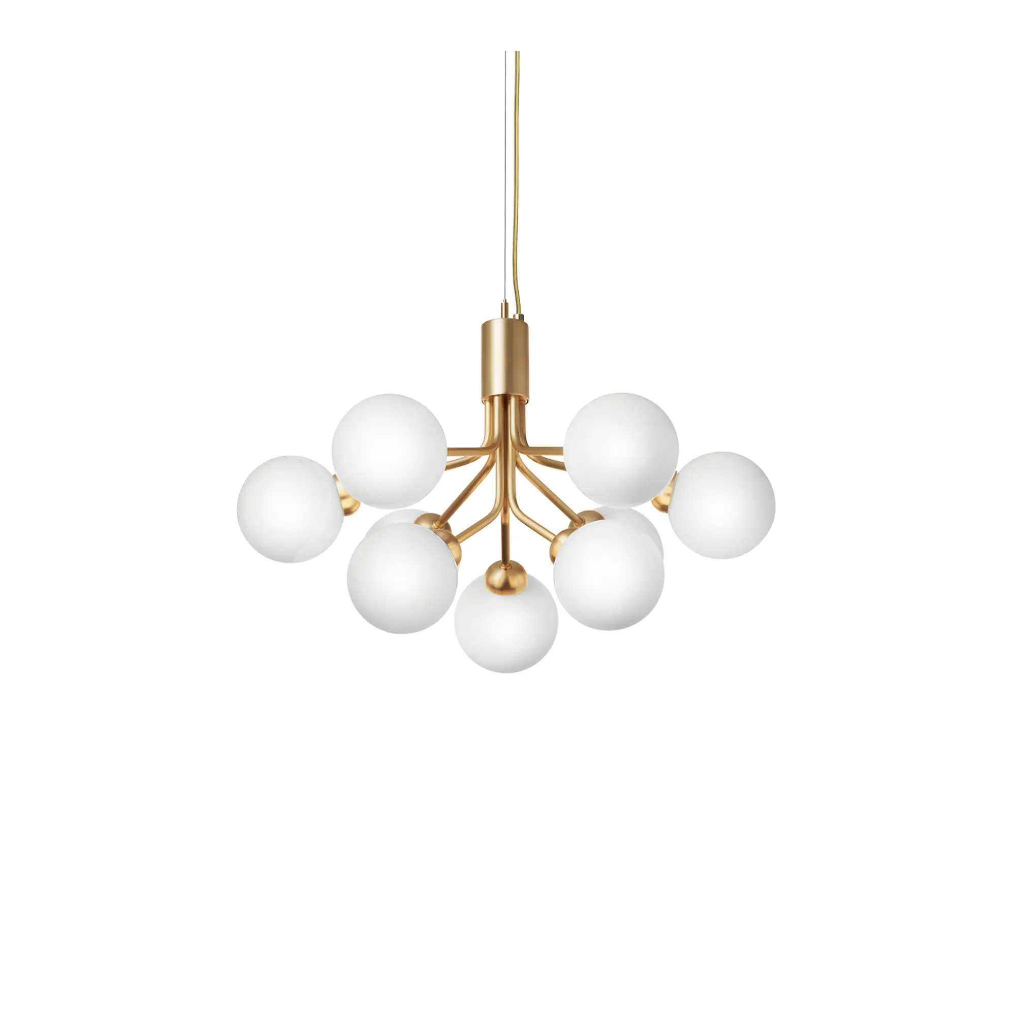 Apiales 9 Pendant