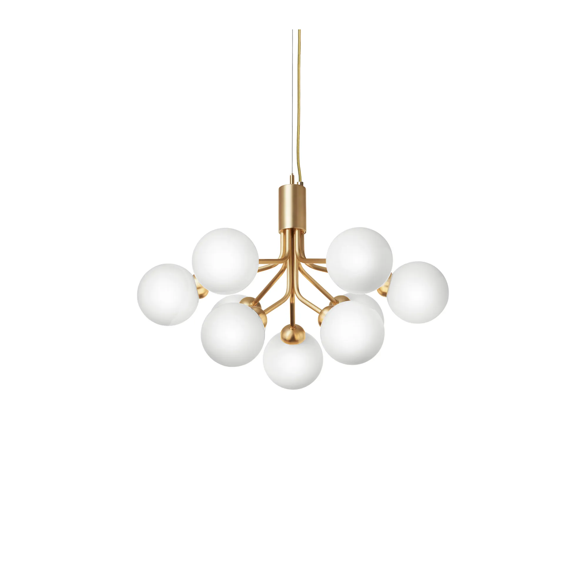 Apiales 9 Pendant