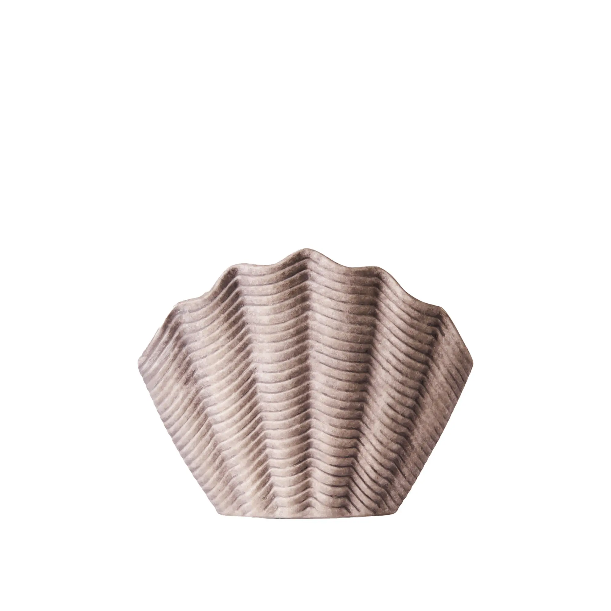 Concha Vase Fluted Large