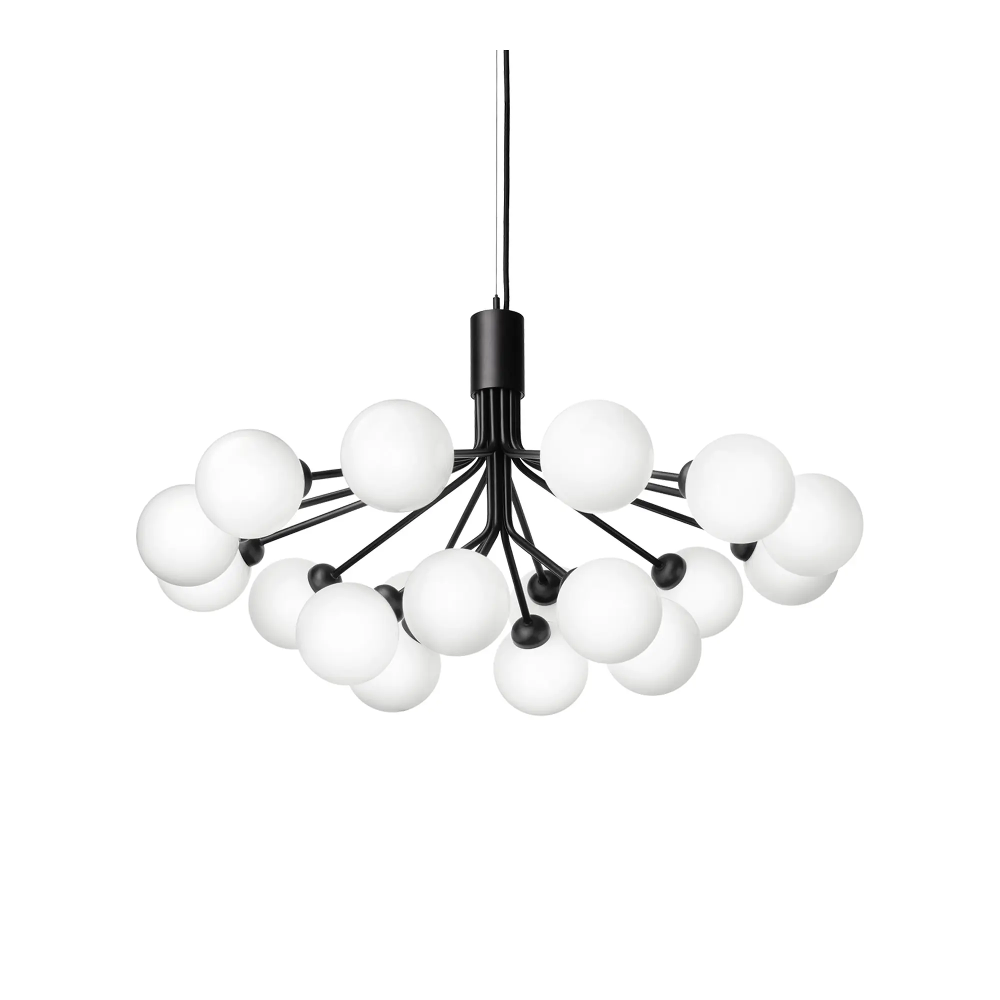 Apiales 18 Pendant