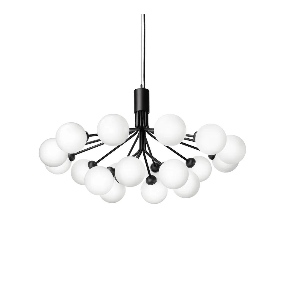 Apiales 18 Pendant