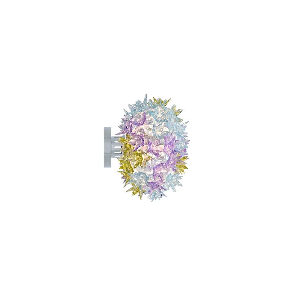 Bloom CW2