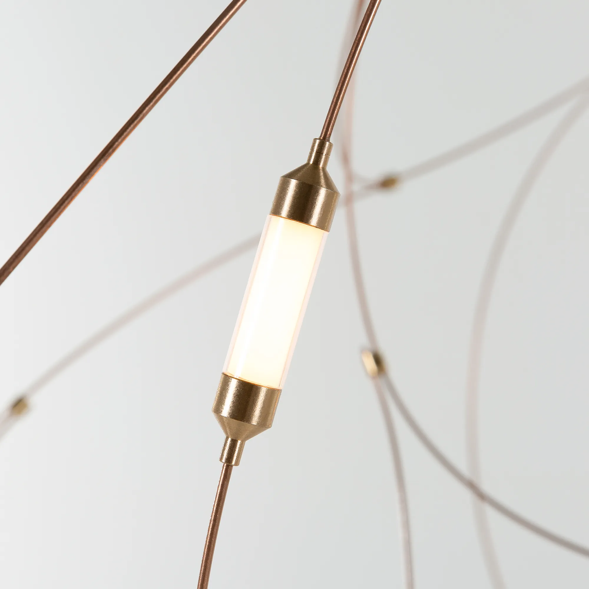 Flock Of Light 21