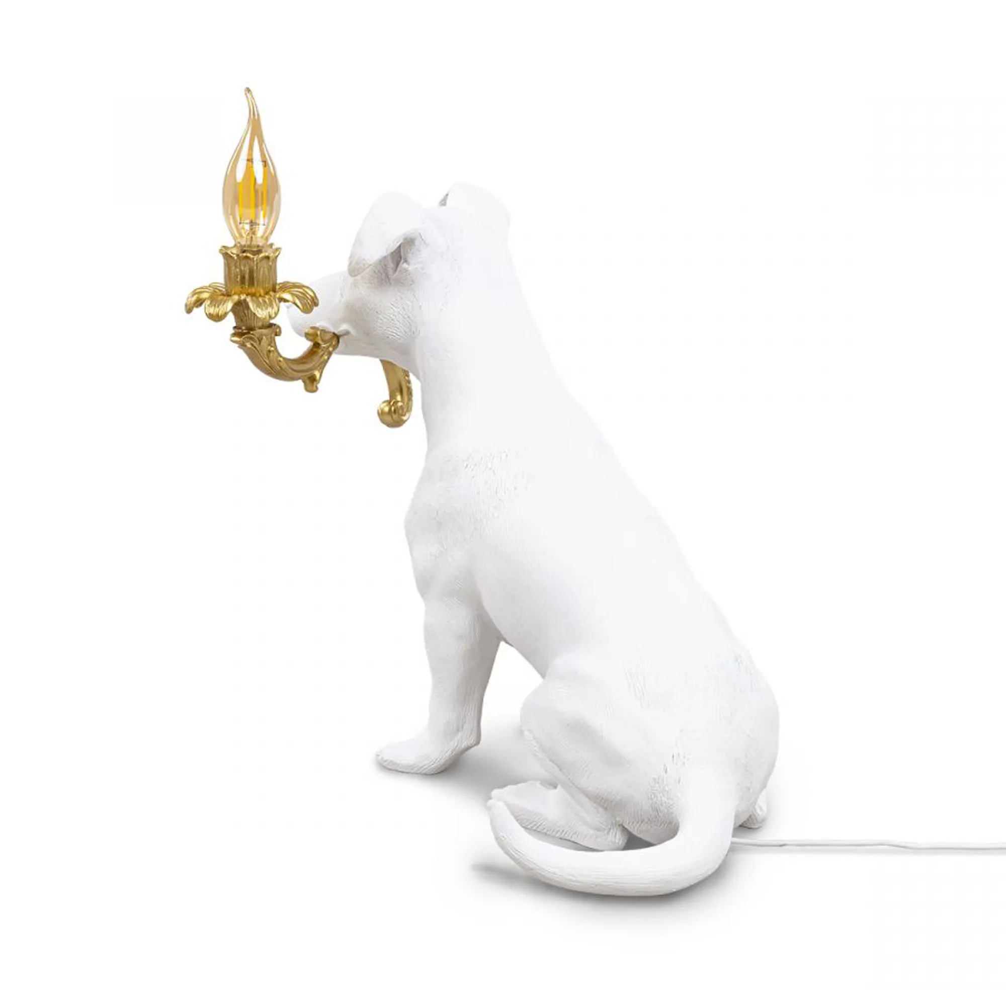 Rio Lamp