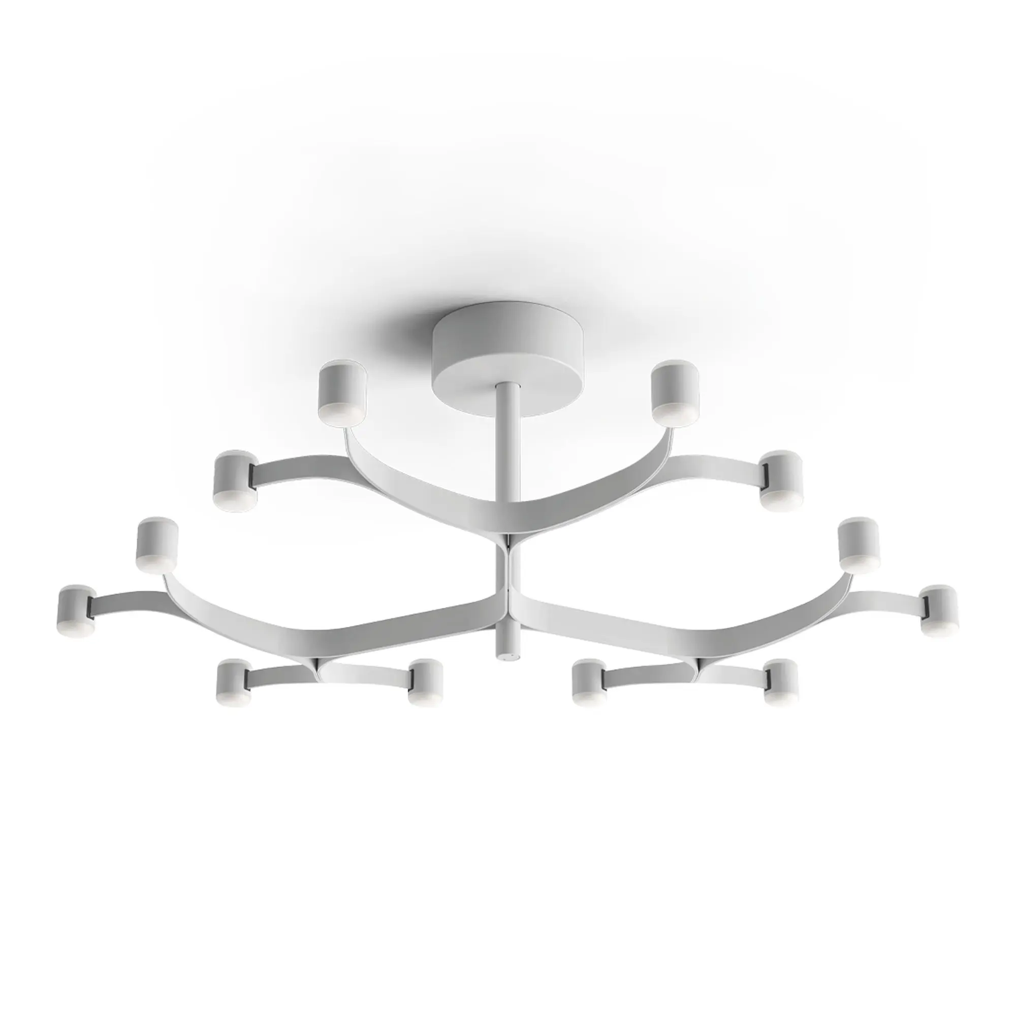 Fronda 12 Phase-Cut plafond
