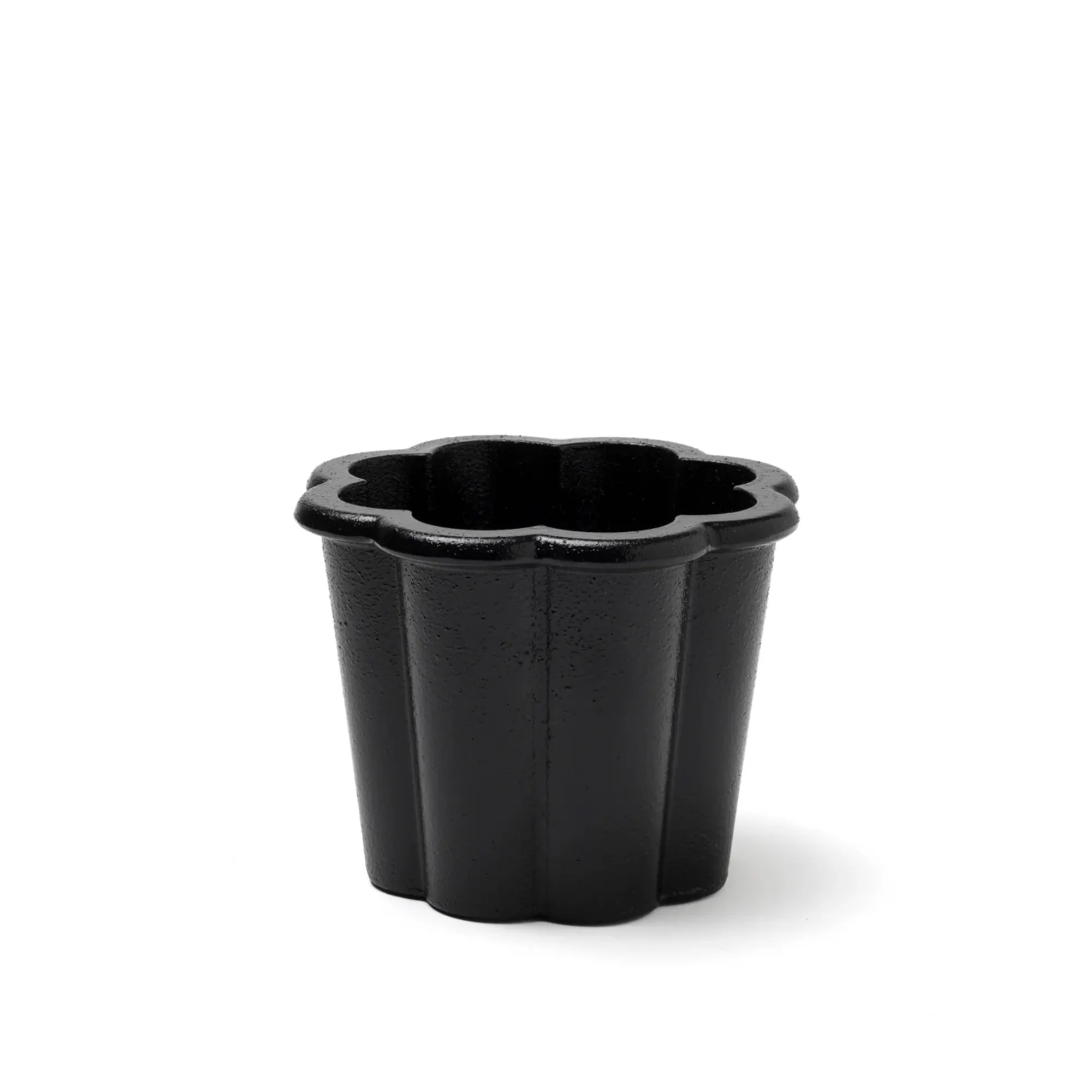 Fjällsippa kruka låg