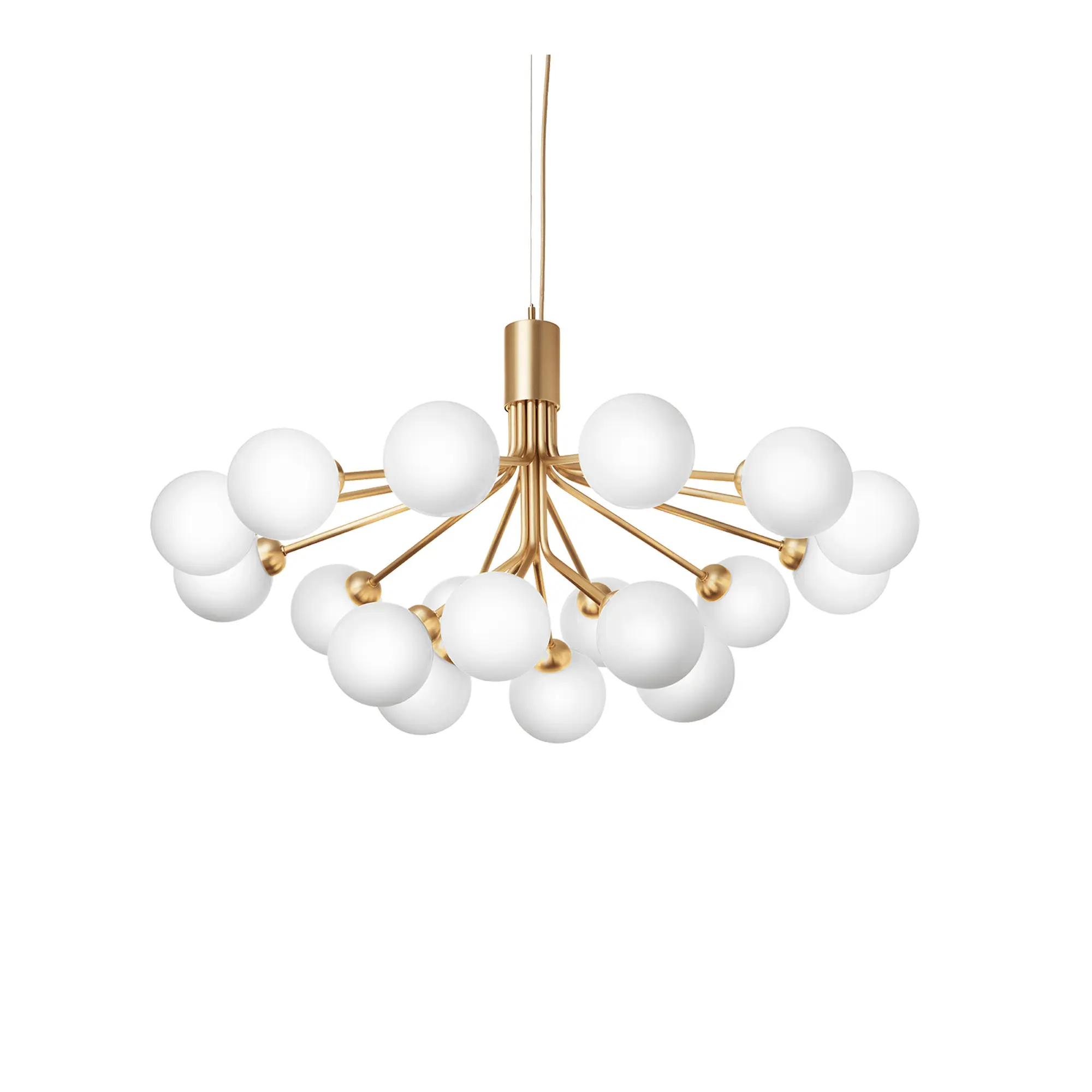 Apiales 18 Pendant
