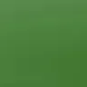 Lacquered Green