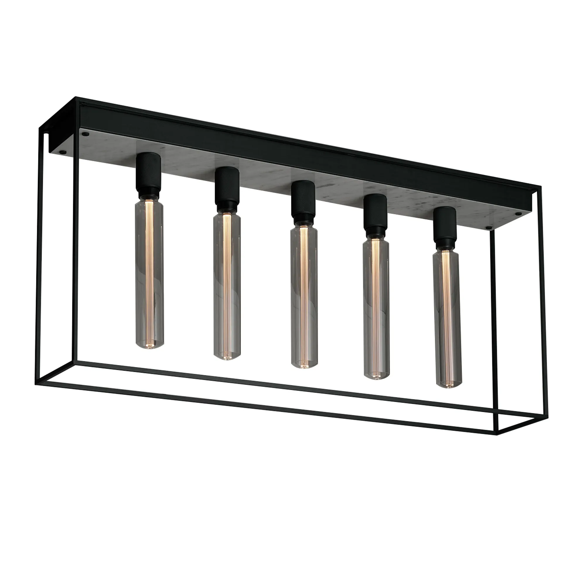 Caged Ceiling 5.0