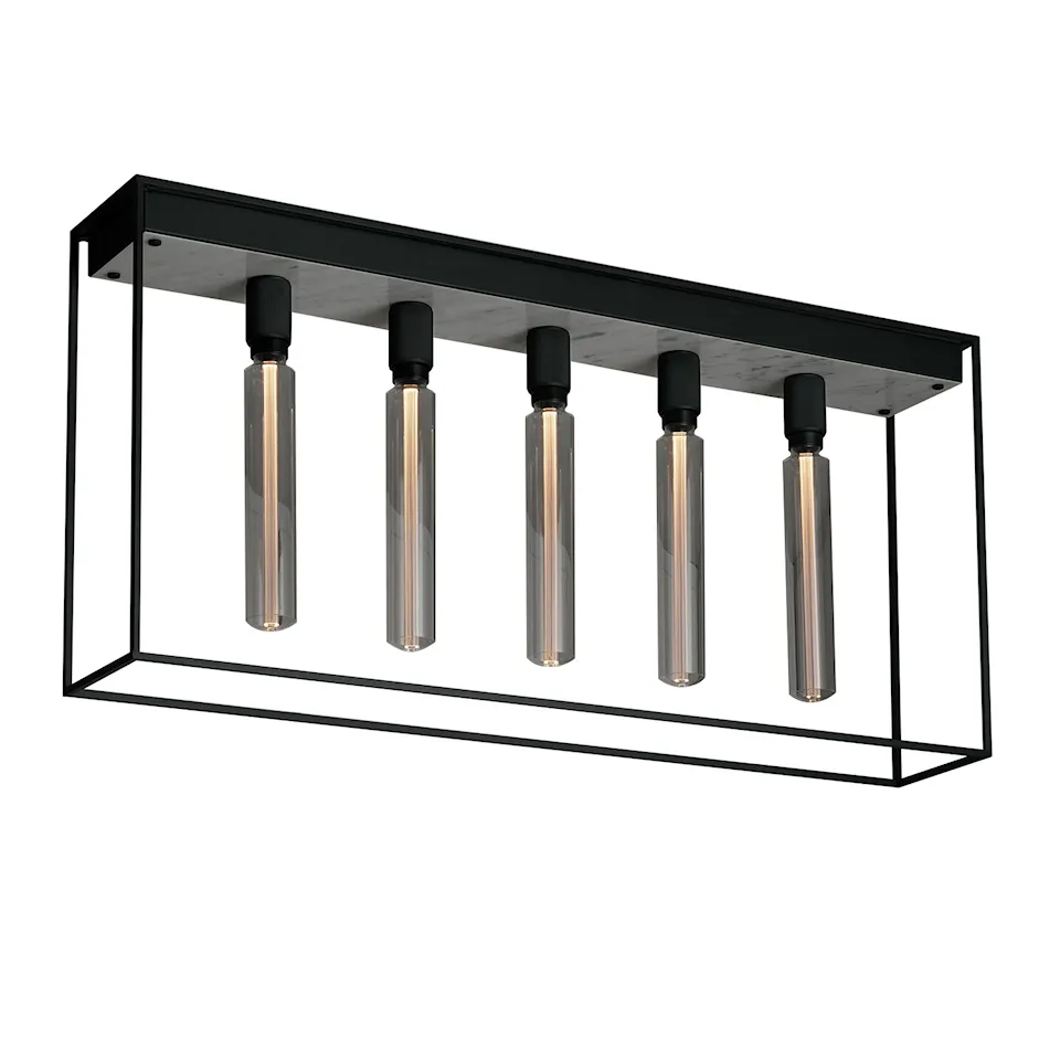 Caged Ceiling 5.0
