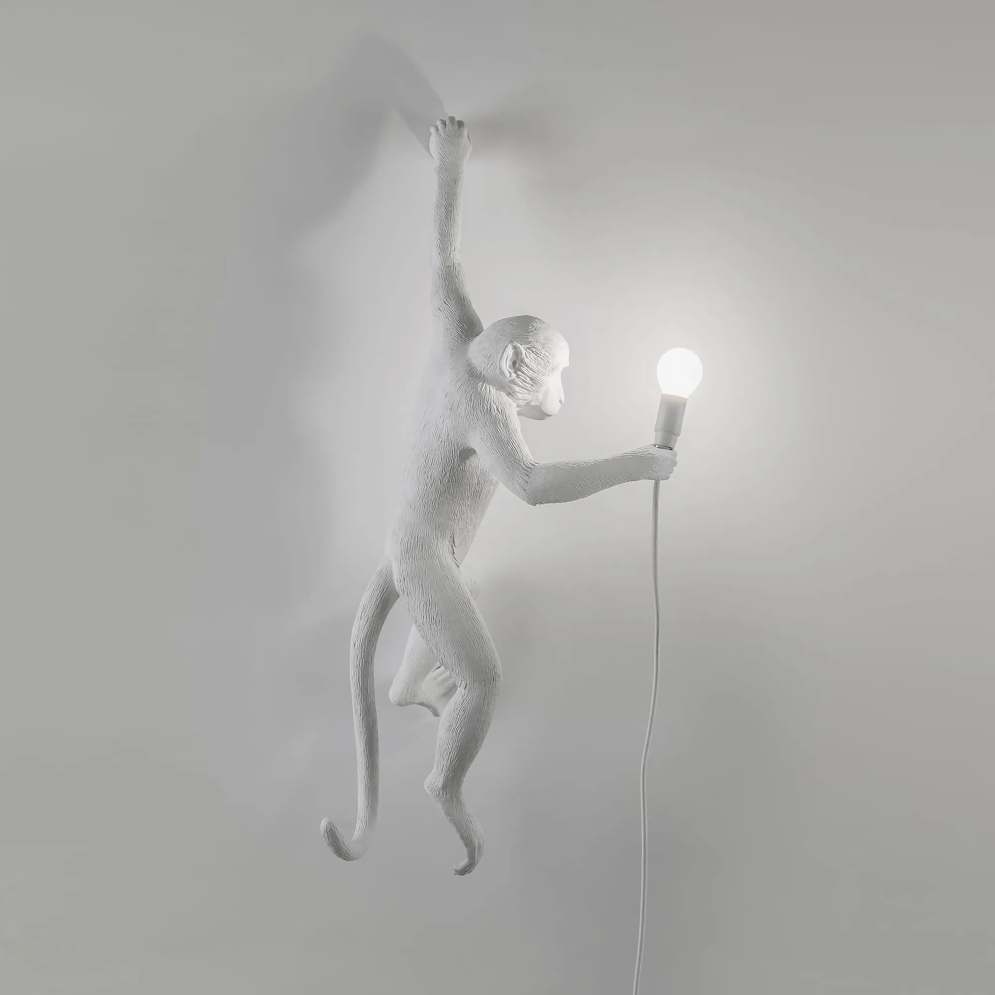 Monkey Lamp Hanging