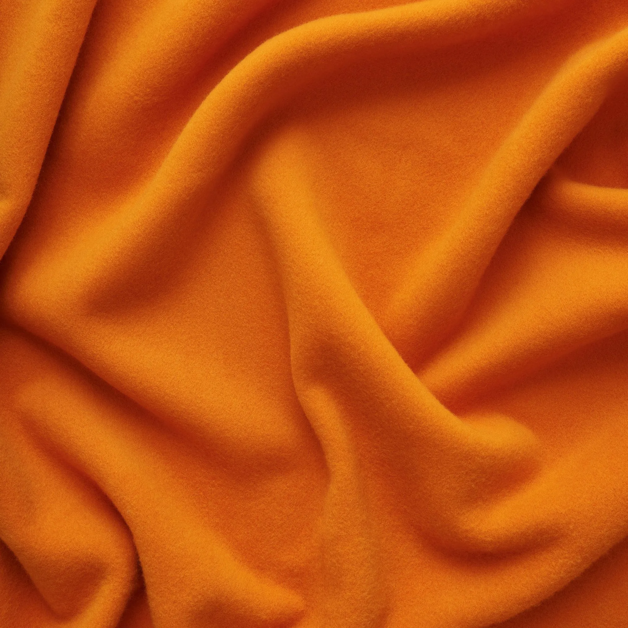 Bold Blanket