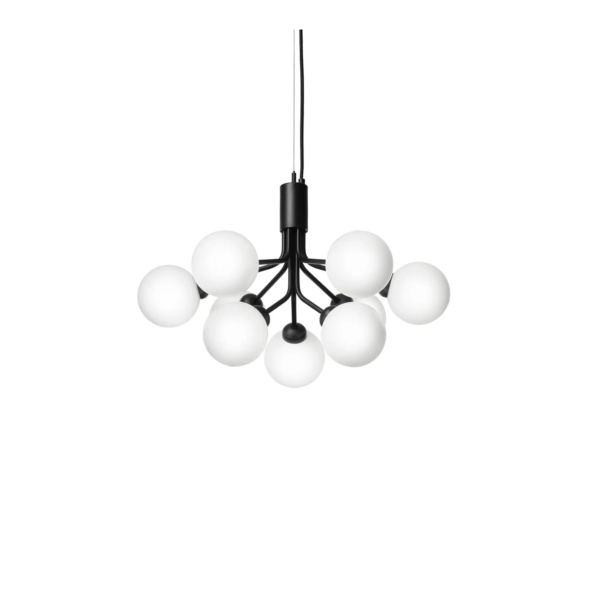 Apiales 9 Pendant