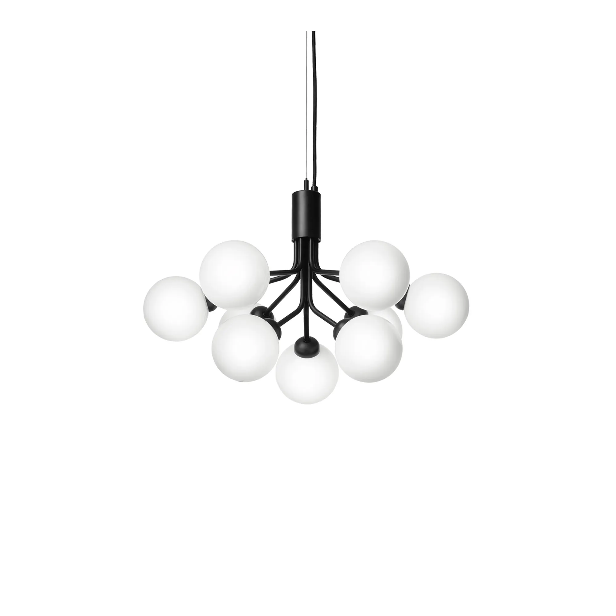 Apiales 9 Pendant