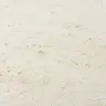Neutral White Travertine