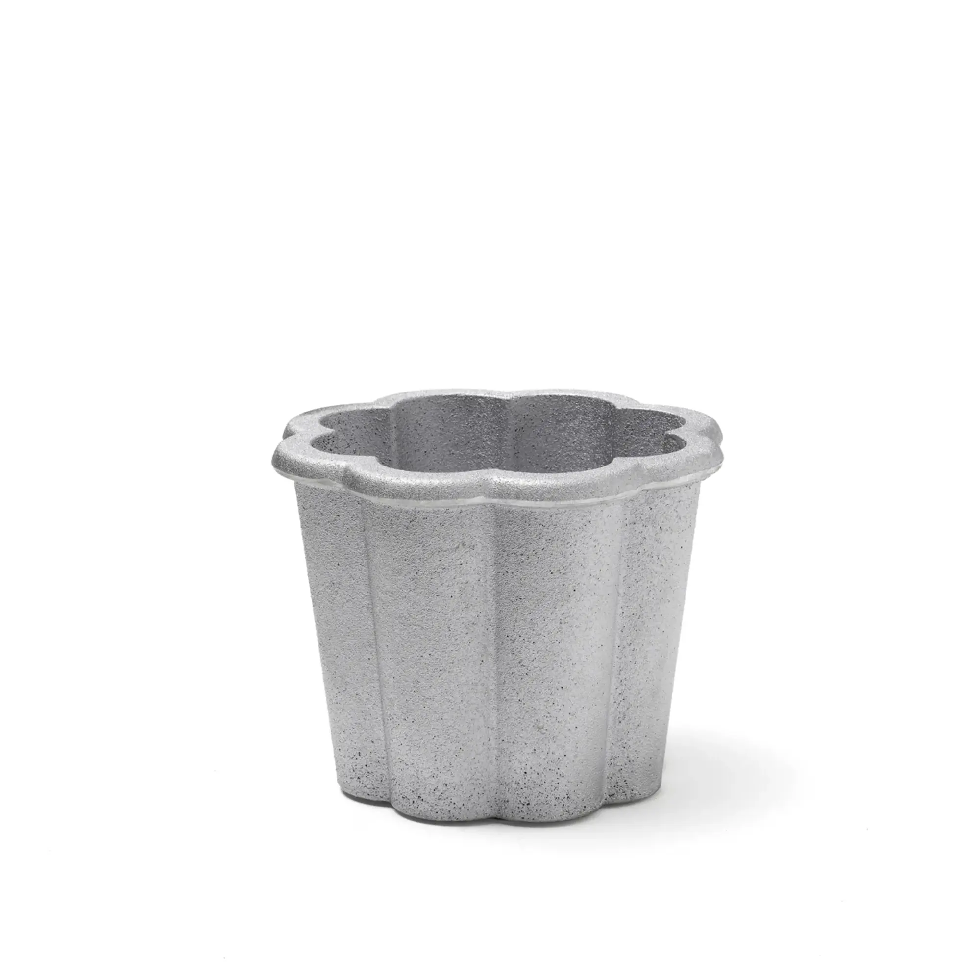 Fjällsippa kruka låg