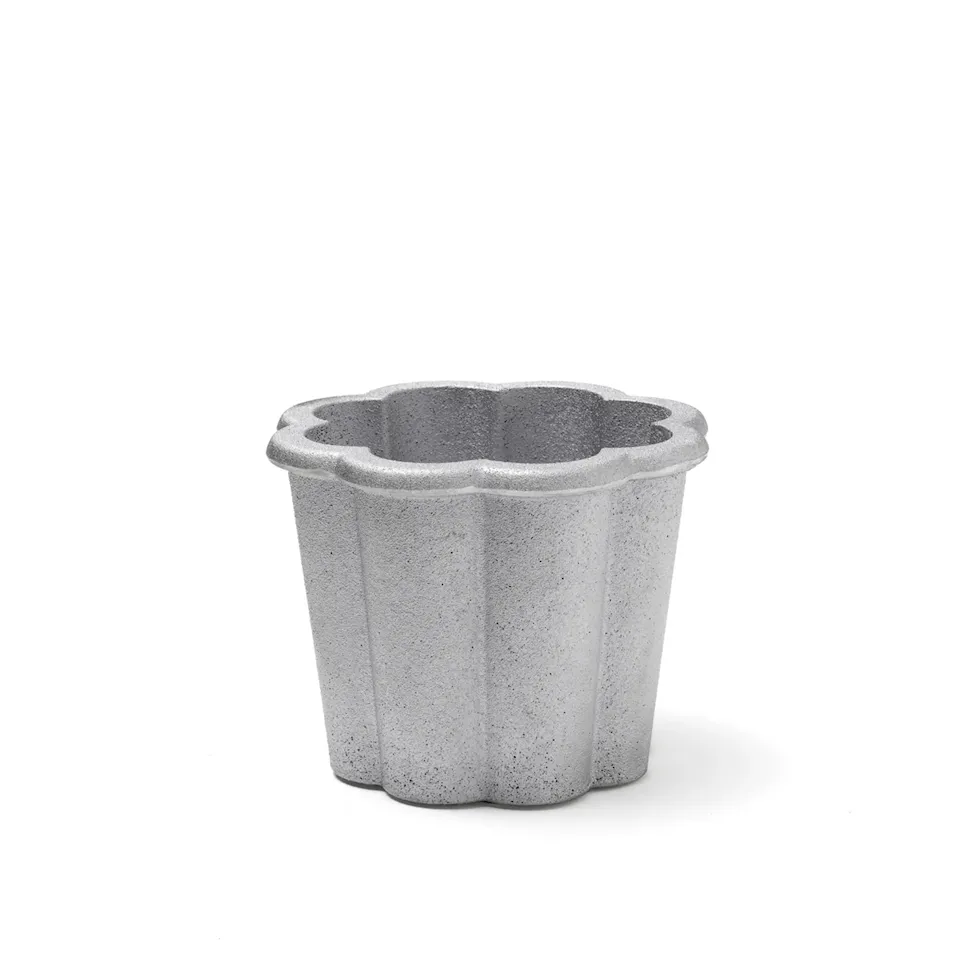Fjällsippa kruka låg