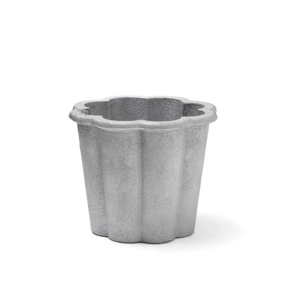 Fjällsippa kruka hög