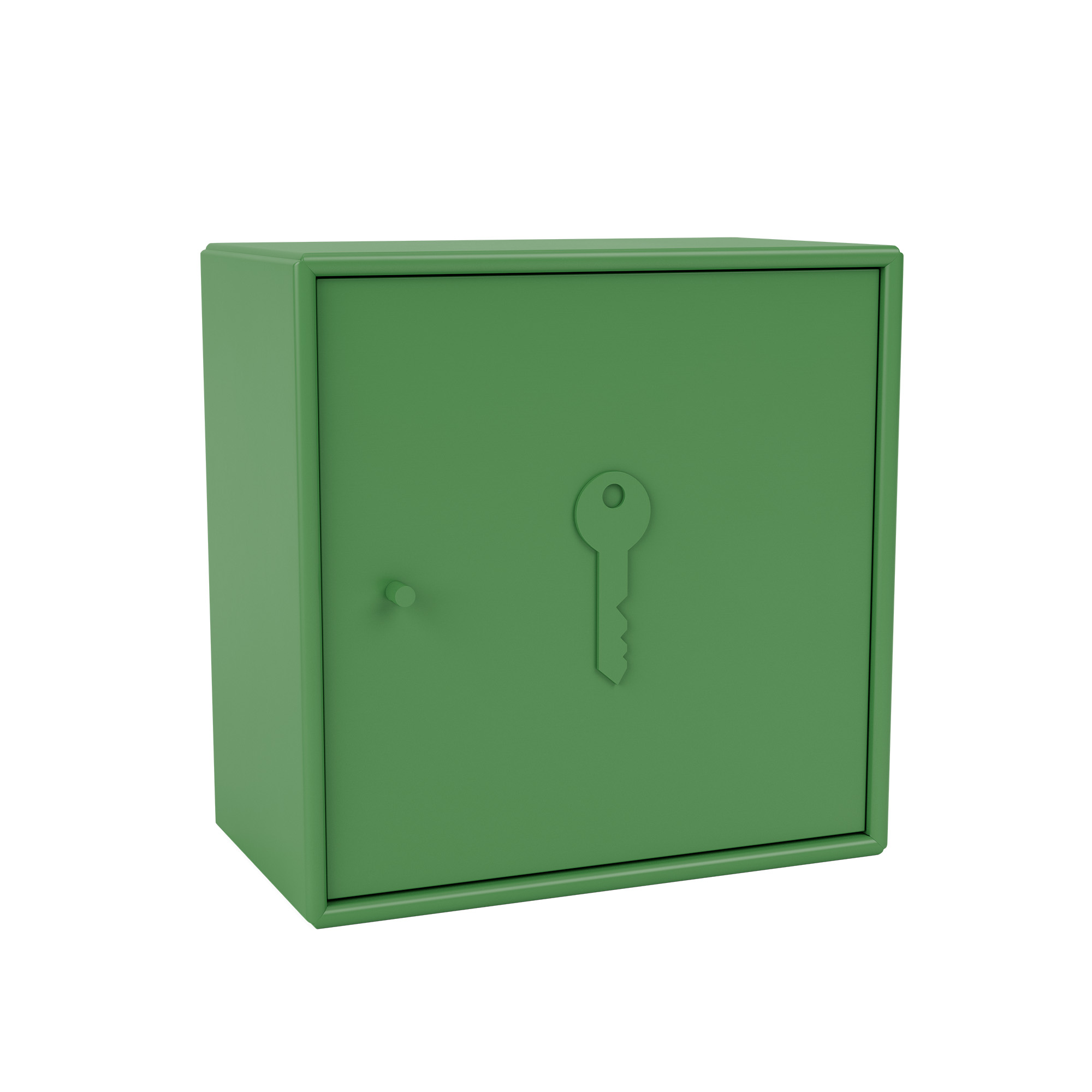 montana - unlock key cabinet 152-parsley 04 suspension rails - skåp och vitrinskåp - peter j. lassen - grön - trä