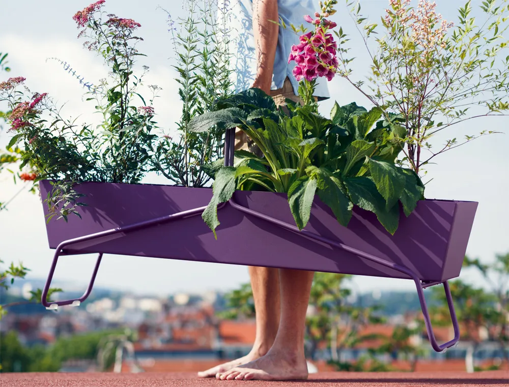 Basket Planter High