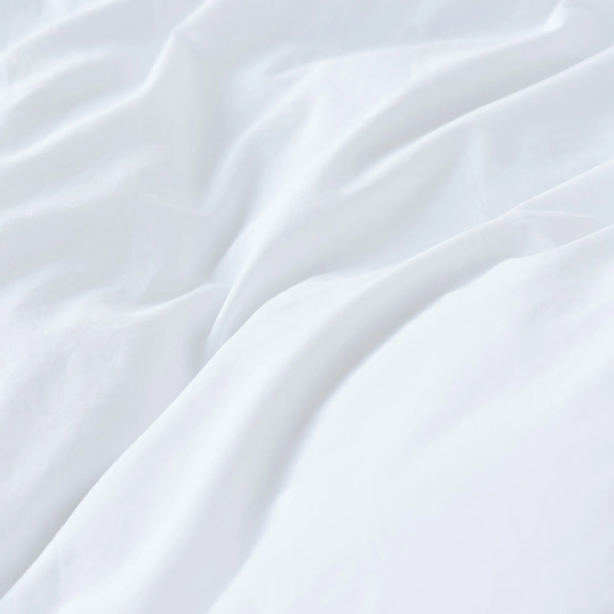 Percale flat sheet 260x260cm