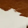 Brown/White