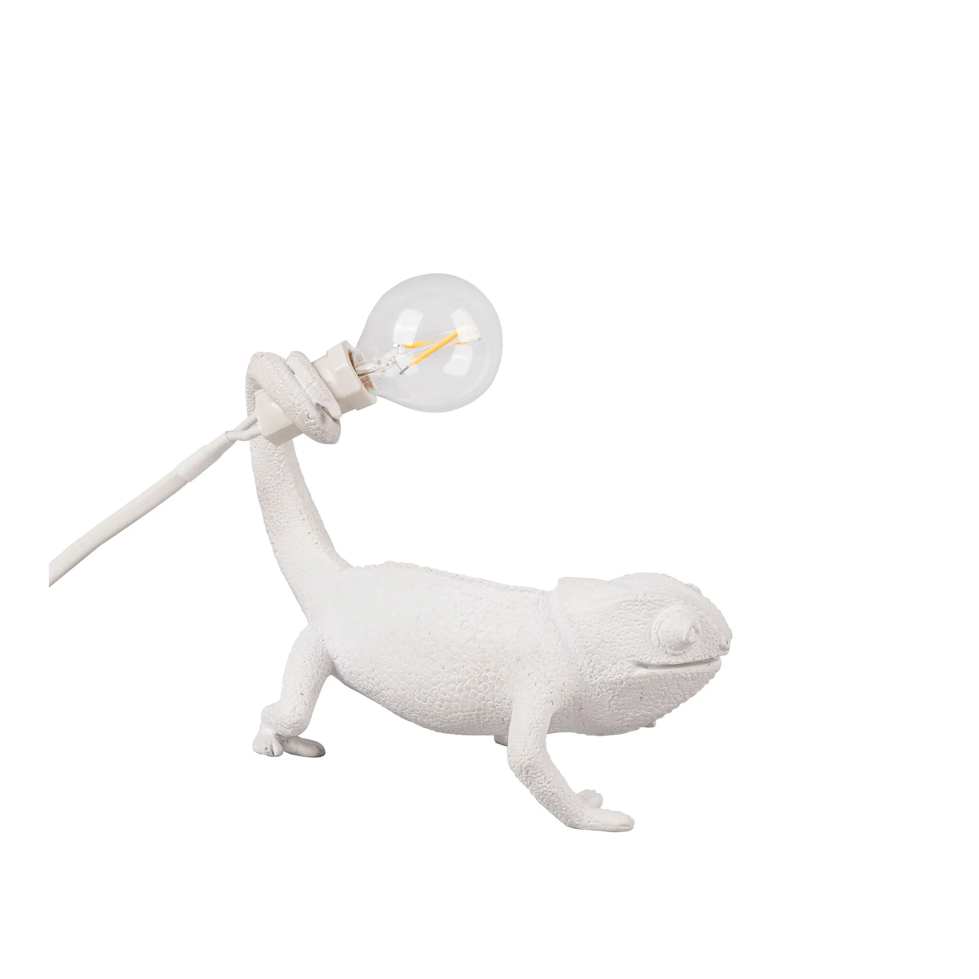 Chameleon Lamp