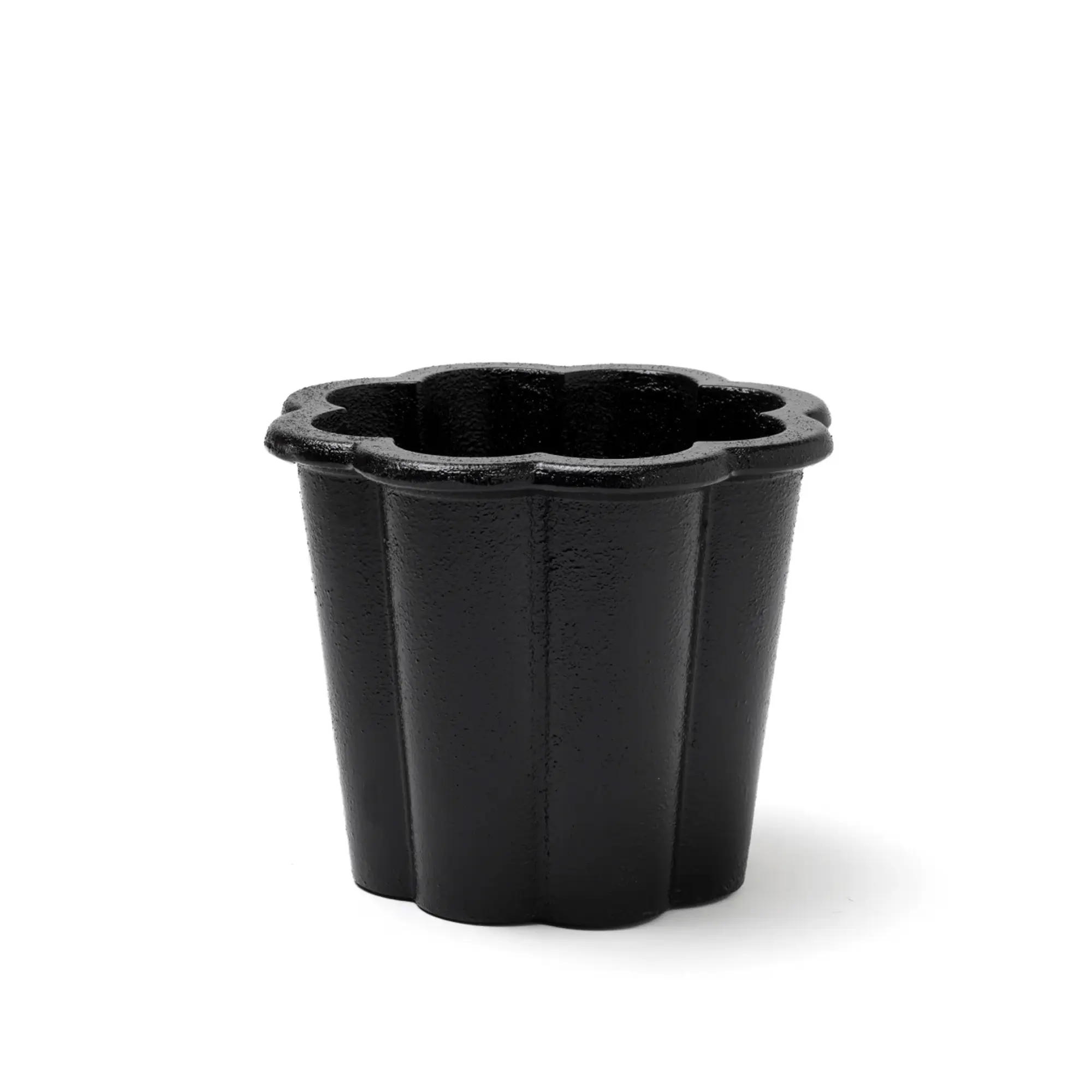 Fjällsippa kruka hög