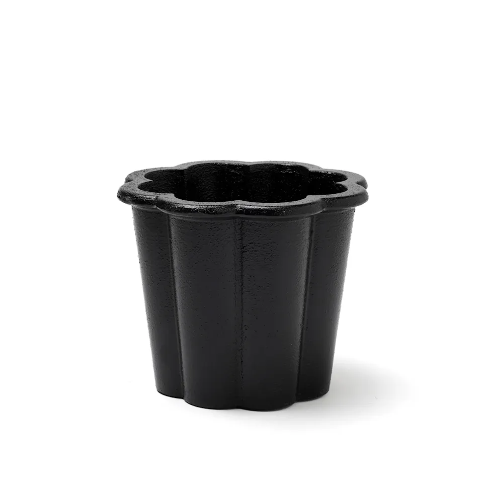 Fjällsippa kruka hög