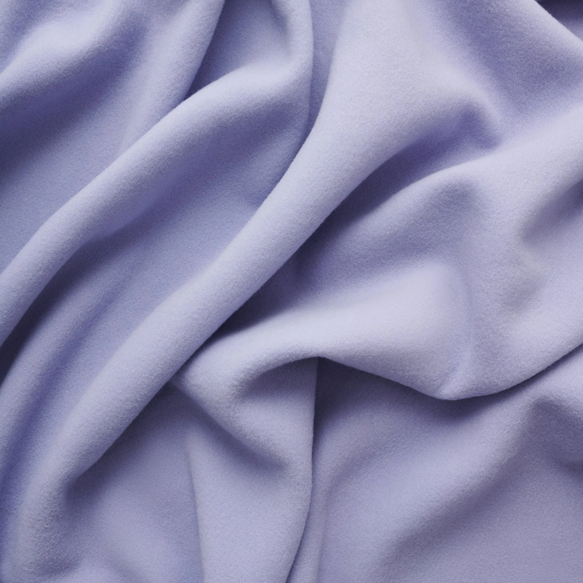 Bold Blanket