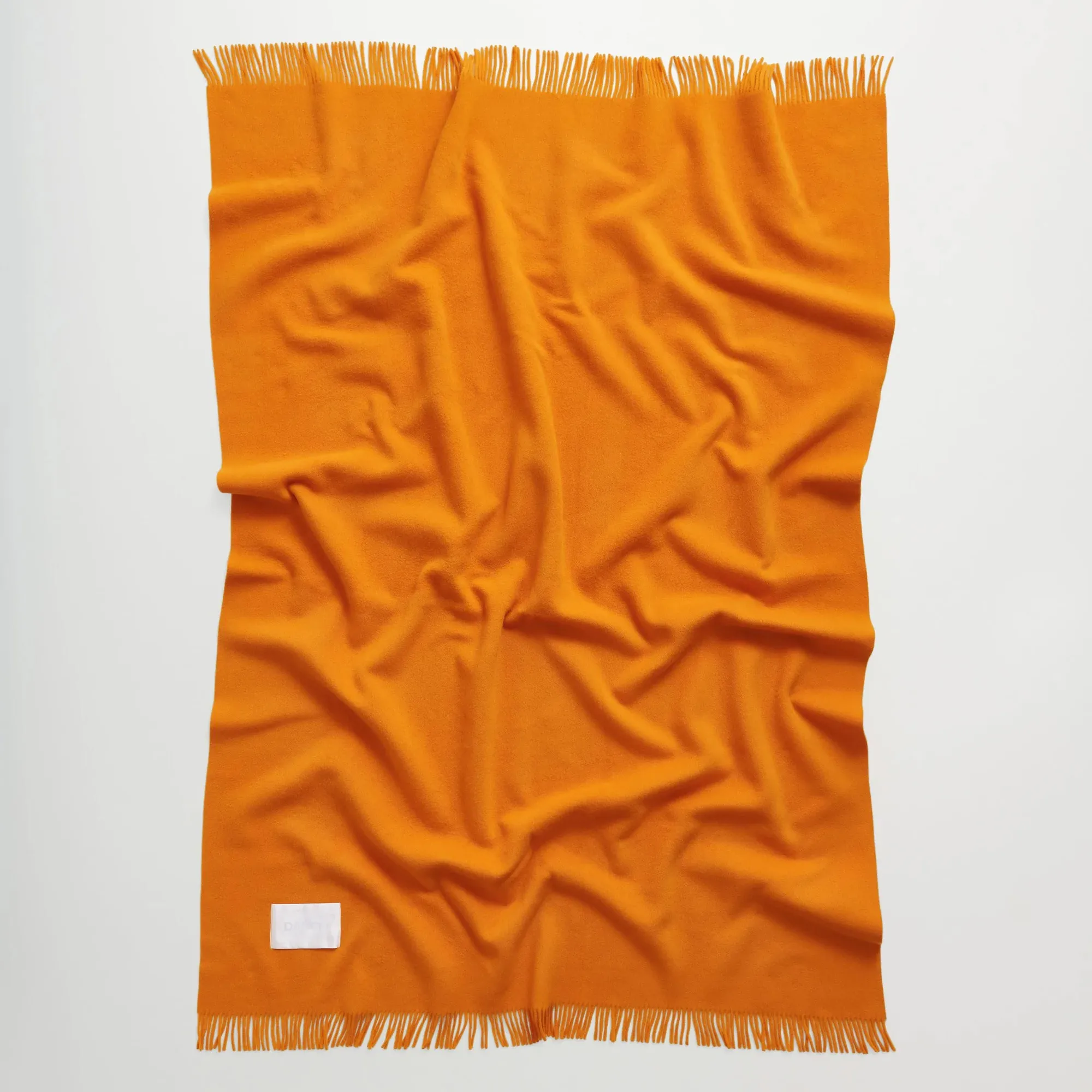 Bold Blanket