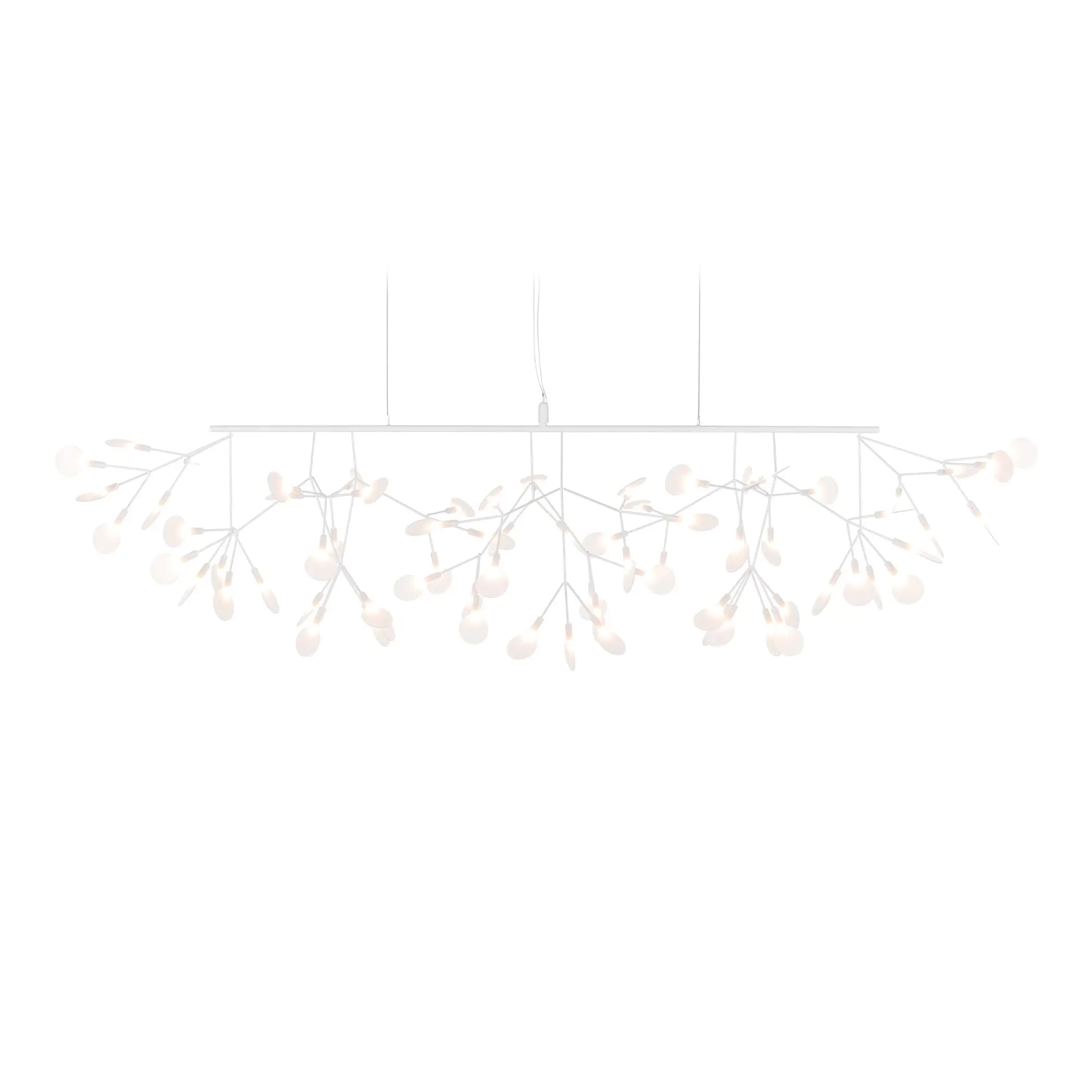 Heracleum III Linear