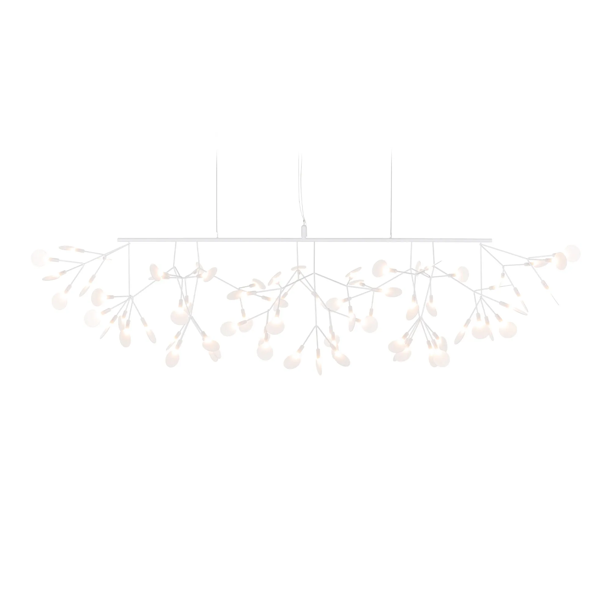 Heracleum III Linear