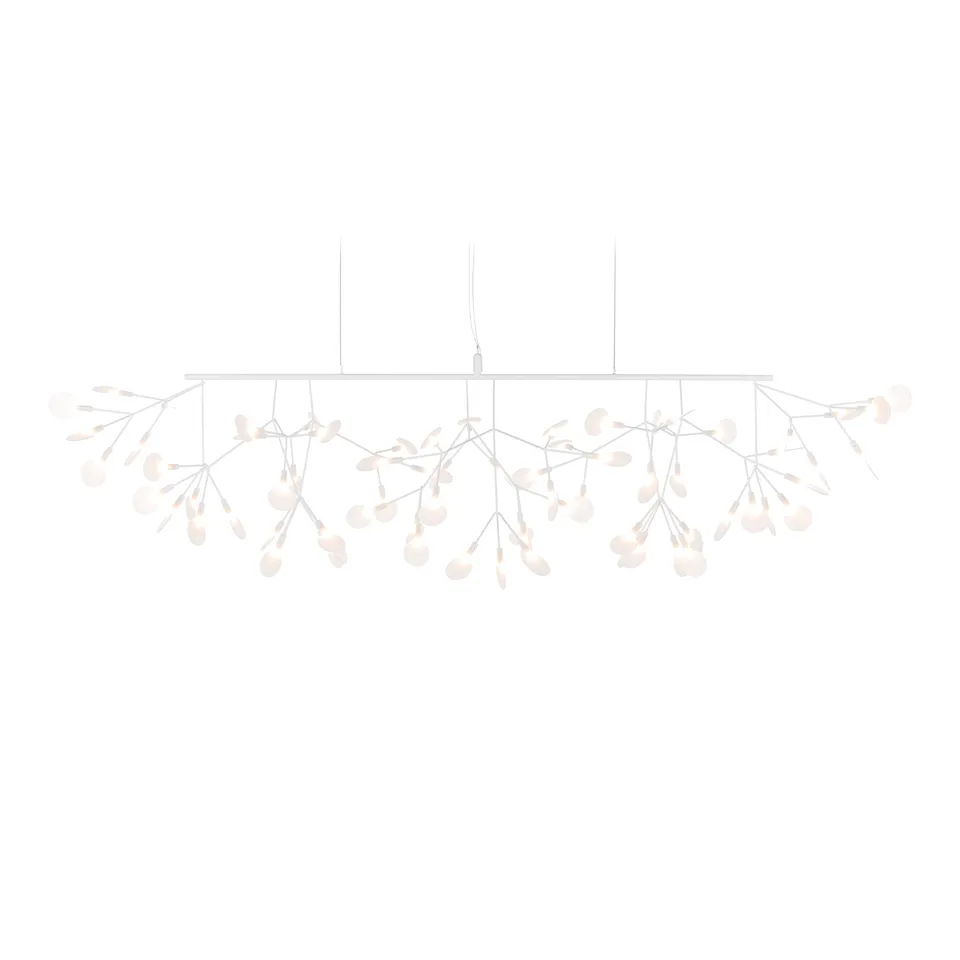 Heracleum III Linear