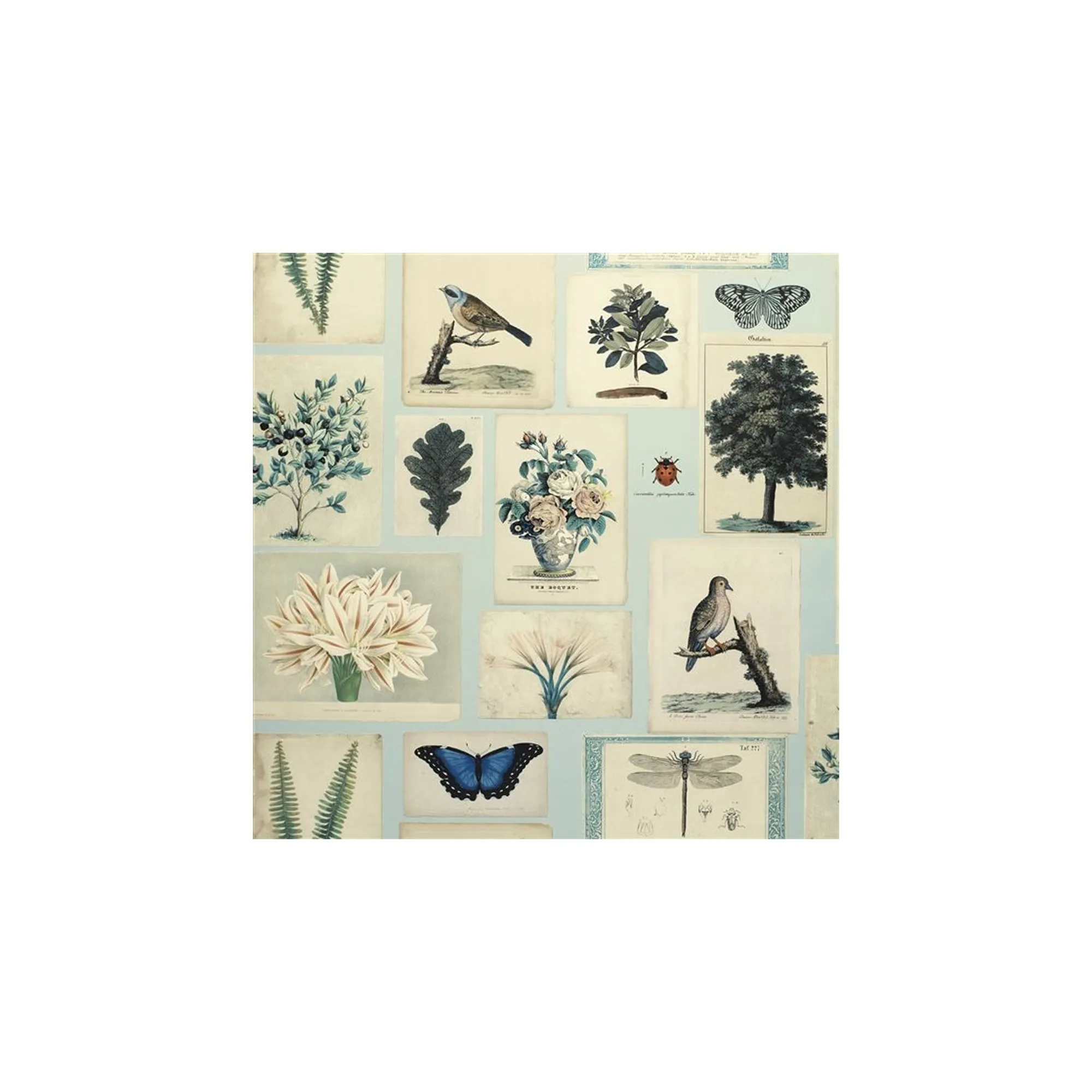 John Derian Picture Book