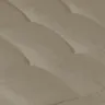 Grey Agora Fossil