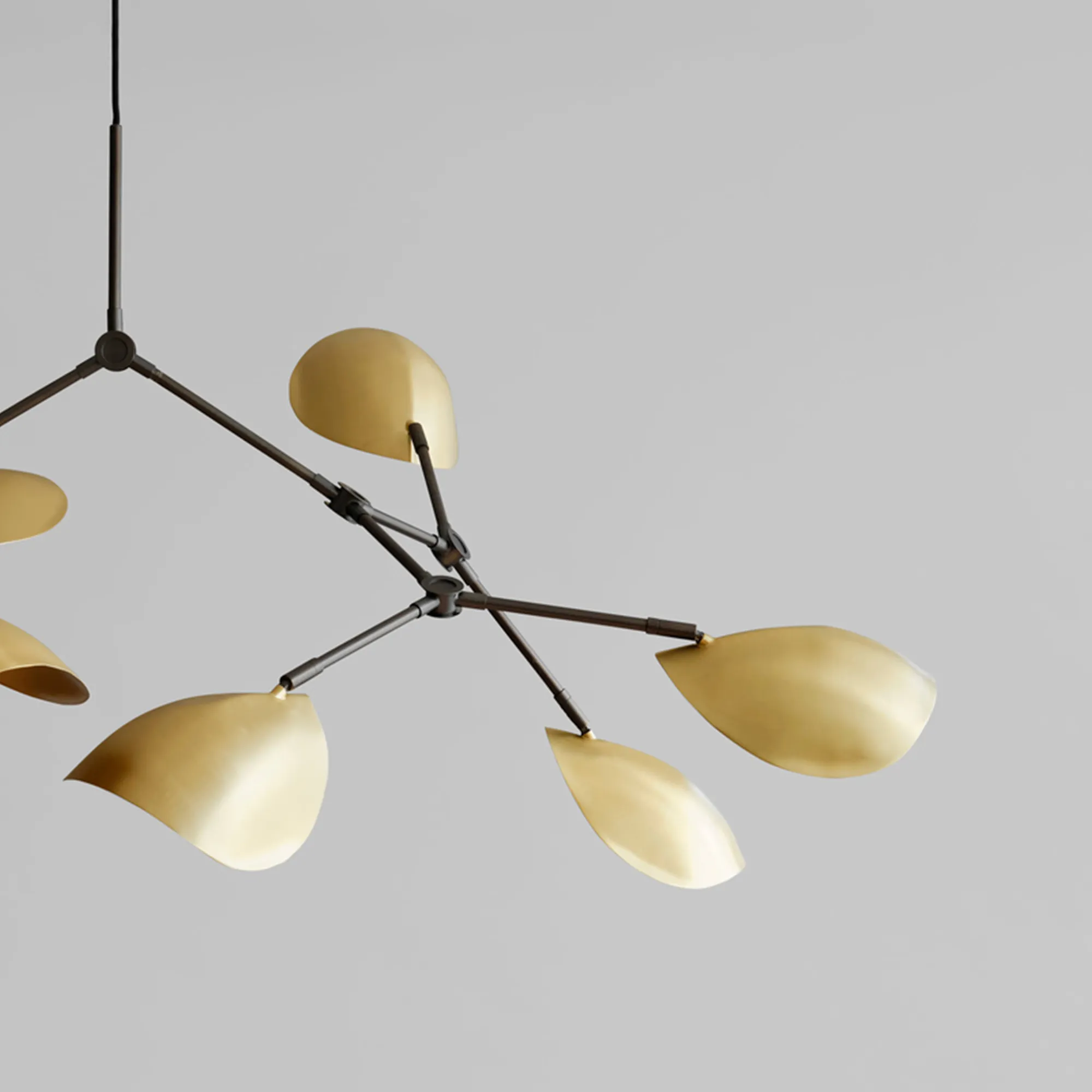 Stingray Chandelier