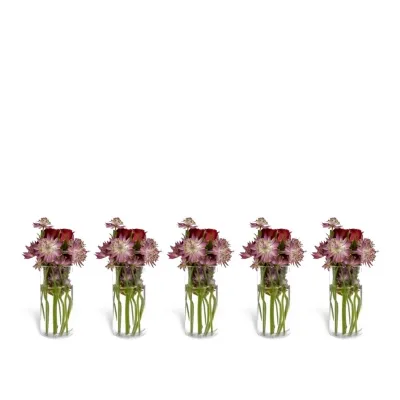 Constella Glasinsats 5-pack