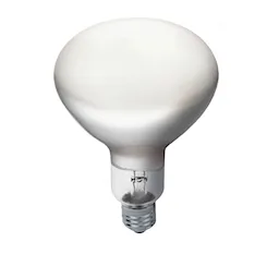 RF35355 Light source E27 13W 1300lm 2700K Dimmable