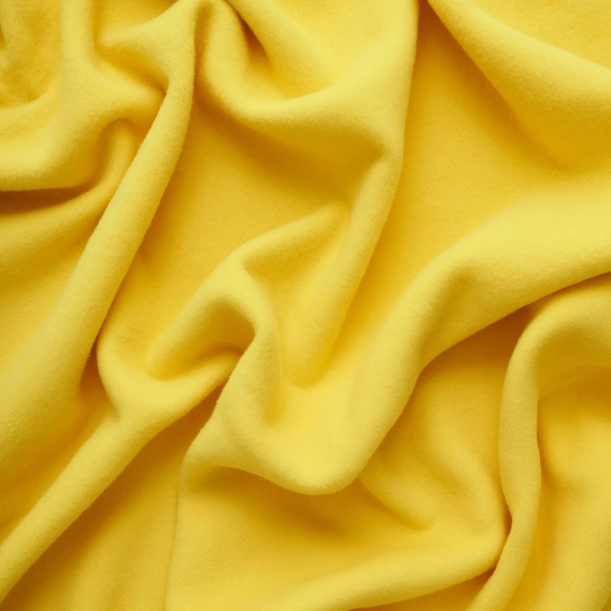 Bold Blanket