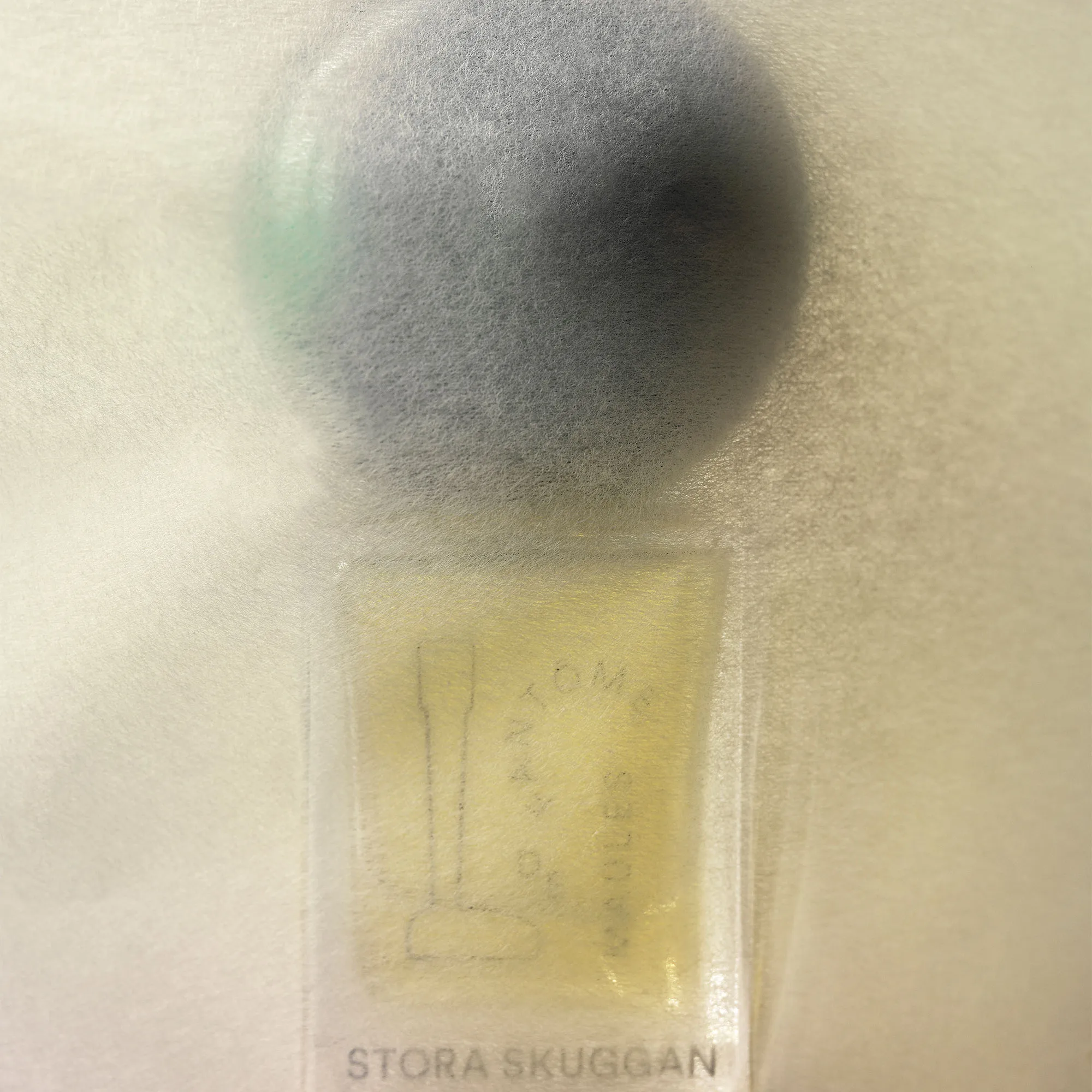 Fantôme De Maules