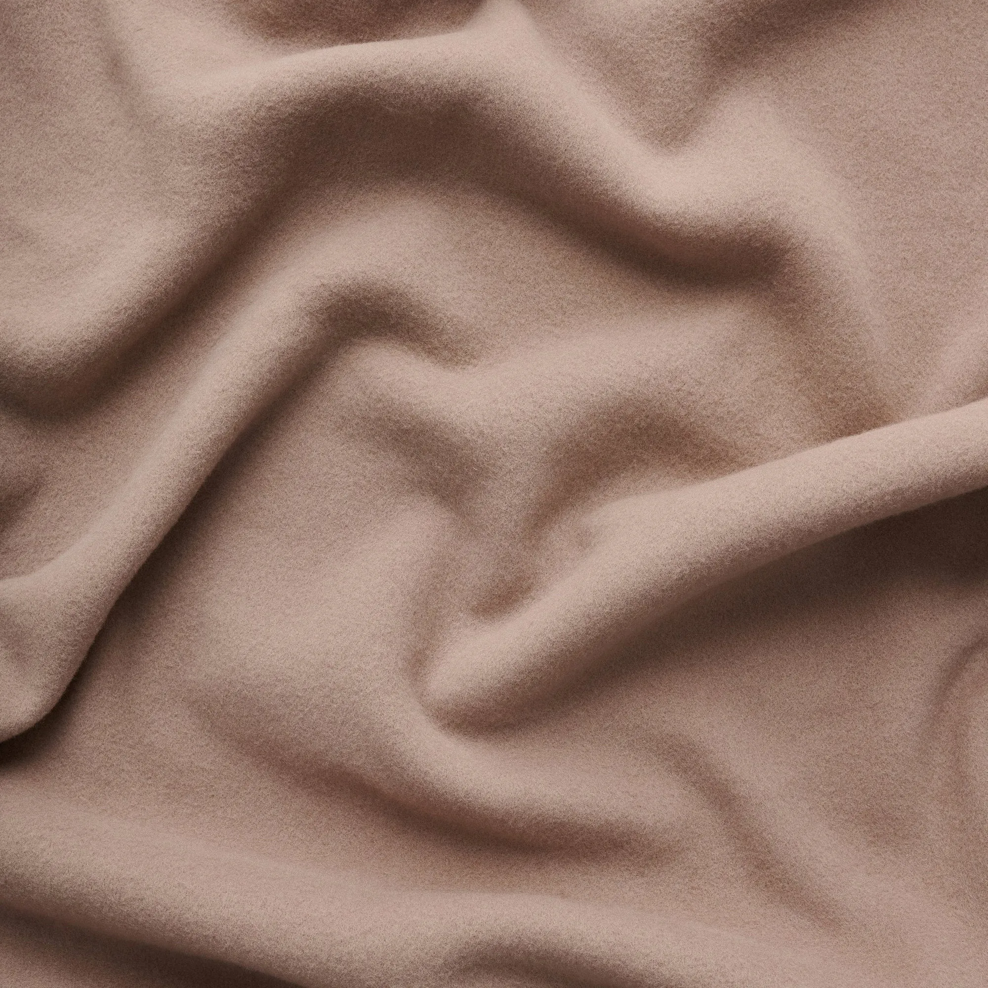 Bold Blanket