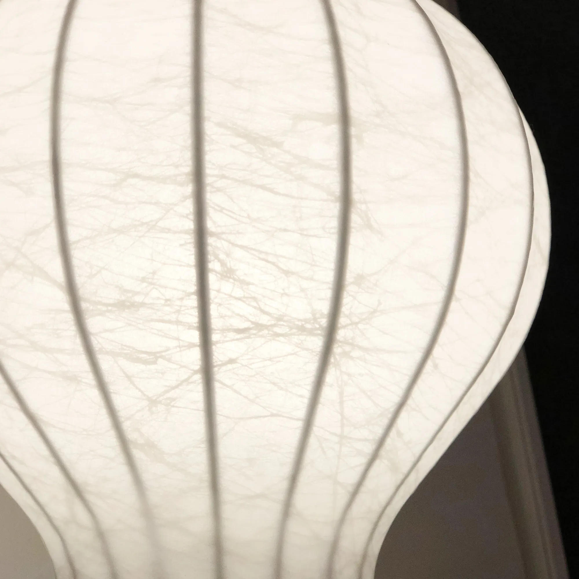 Gatto Piccolo Table Lamp