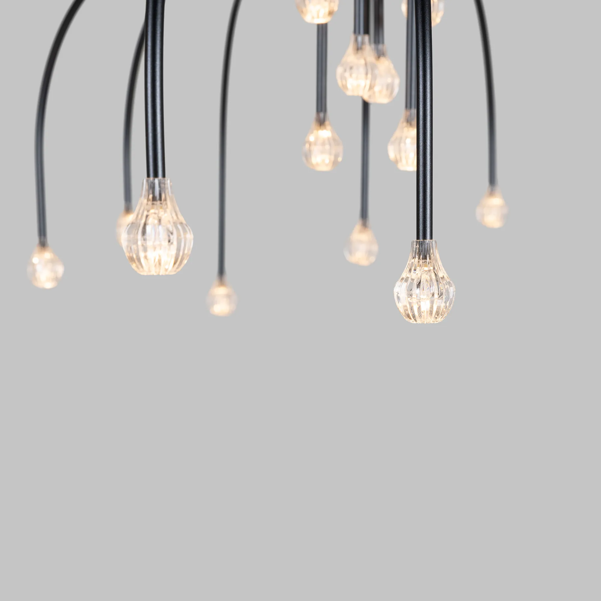 Starfall Light