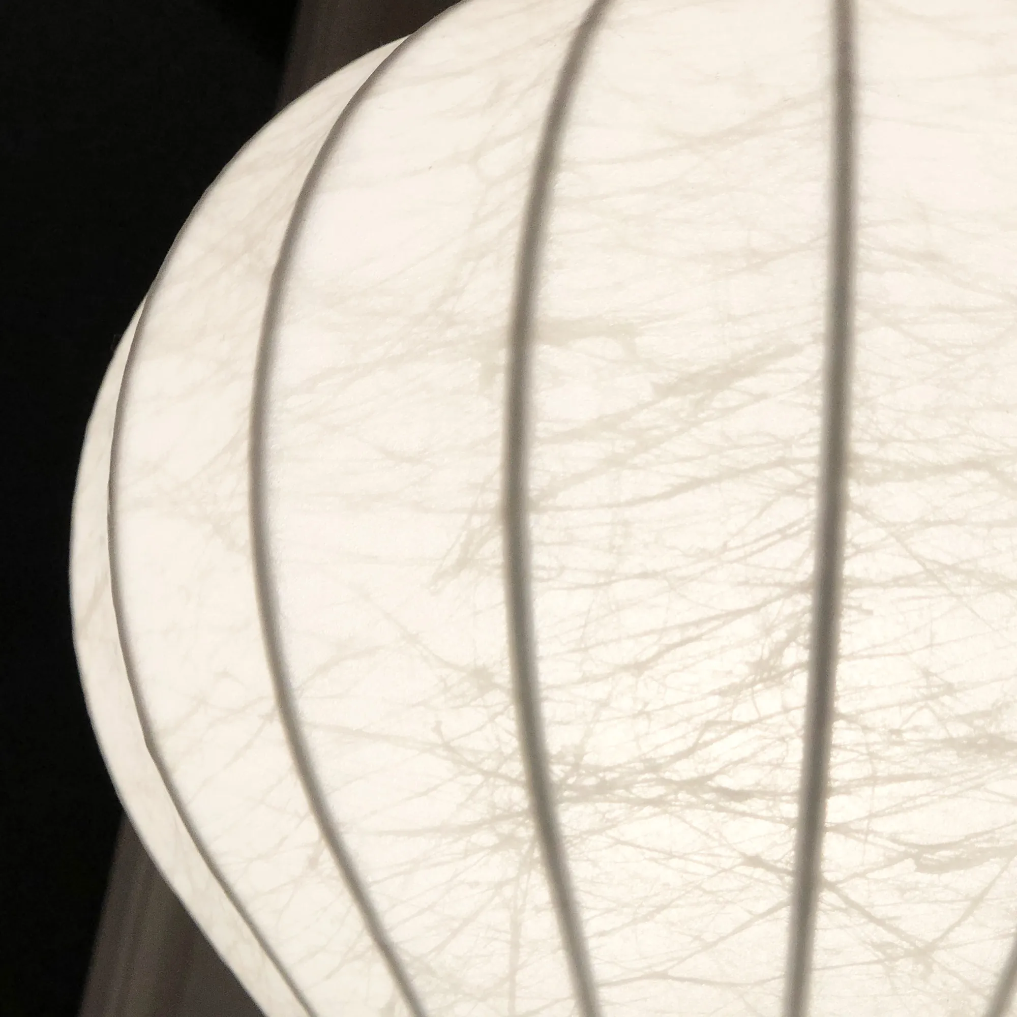 Gatto Table Lamp