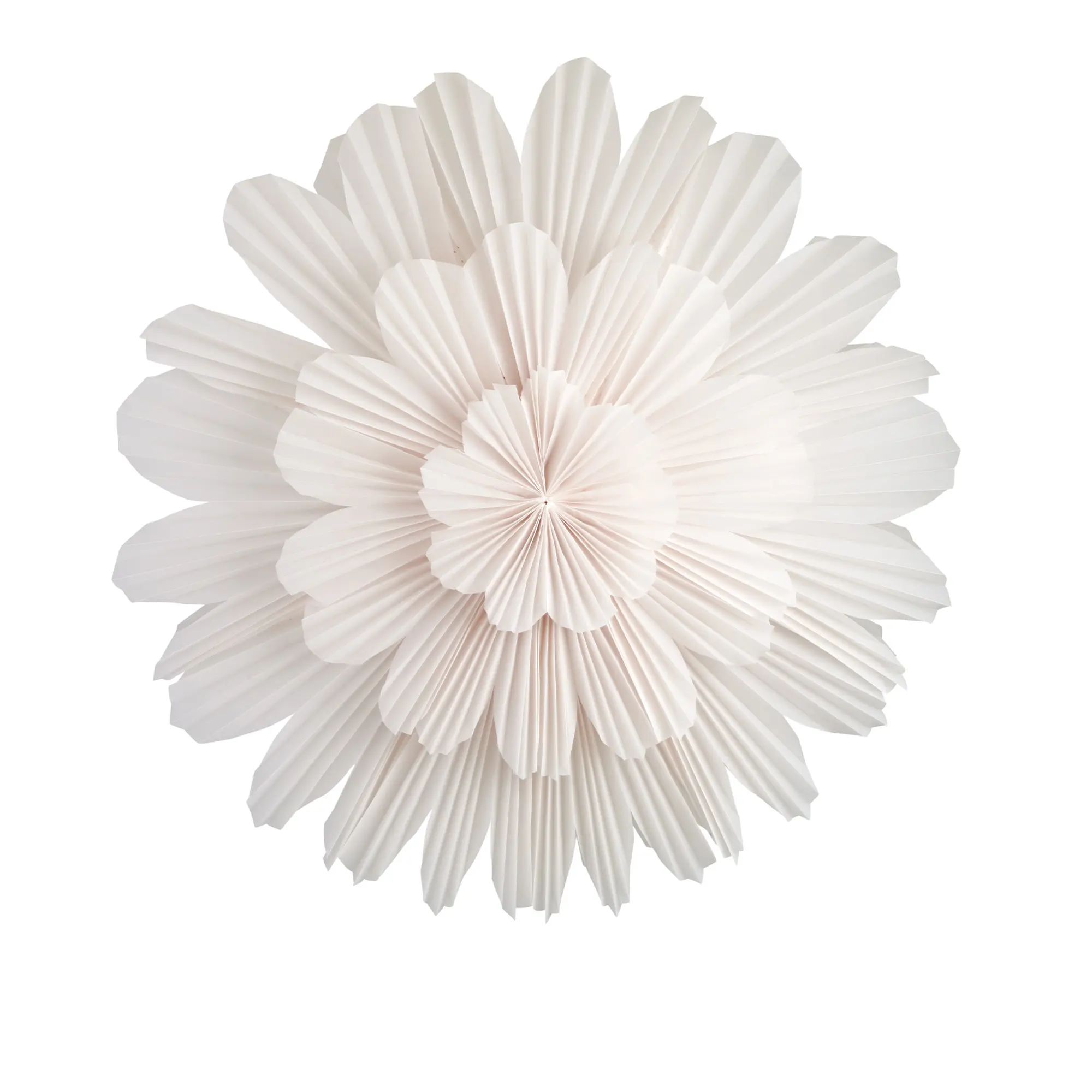 Snöblomma White