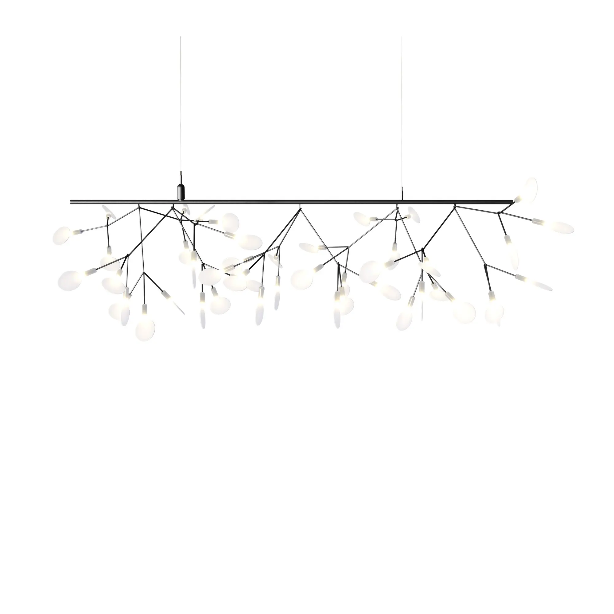 Heracleum III Endless